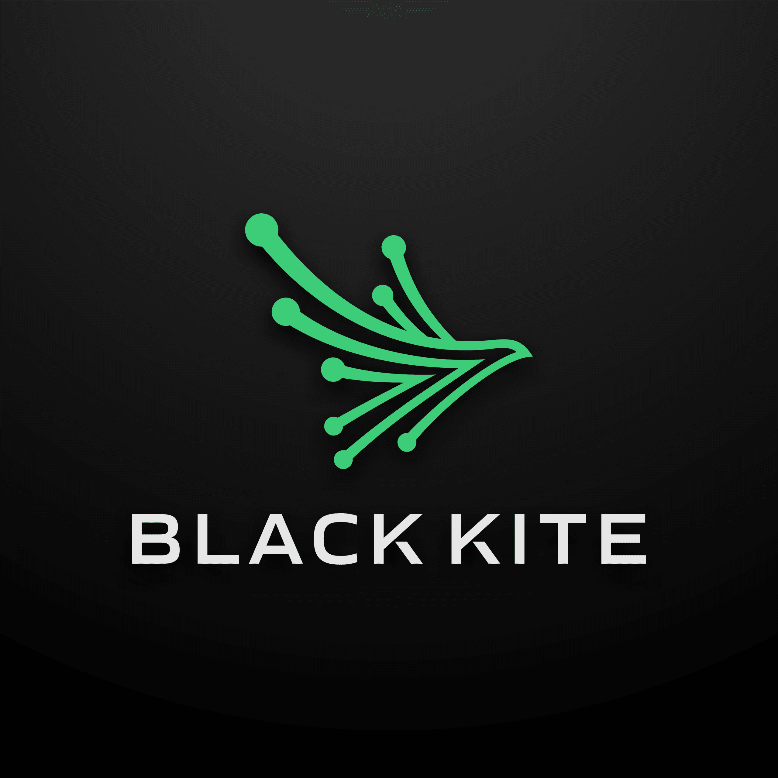 Black Kite logo